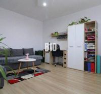 Wohnzimmer in einem Einfamilienhaus mit Holzboden, Sitzgarnitur, Schrank, Pflanzen.