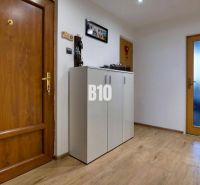 Eingangsbereich in einer 3-Zimmer-Wohnung mit Holzboden und Holztüren.