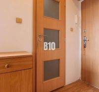 Eingangstür und Holzschrank mit Holzboden in einer Einzimmerwohnung.