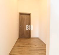 Flur mit Türen und einem Boden mit Holzdekor im Einfamilienhaus.
