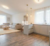 Innenraum eines Einfamilienhauses mit heller Küche, Wohnzimmer und Boden in Holzoptik.