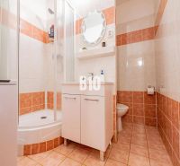 Badezimmer in einer 2-Zimmer-Wohnung mit Fliesen, einer Duschkabine und einem Unterschrank für das Waschbecken.