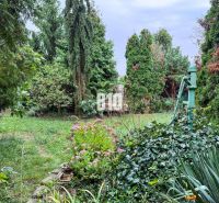 Der Garten des Einfamilienhauses in Vlkas mit Grünflächen und einer alten Pumpe, die von Pflanzen umgeben ist.