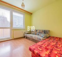 Ein Zimmer in einer 3-Zimmer-Wohnung mit einem Sofa und einem Boden in Holzoptik.