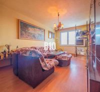 Wohnzimmer in einer 3-Zimmer-Wohnung mit Holzboden, hellen Möbeln und einem Sofa.