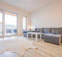 Wohnzimmer in einer 3-Zimmer-Wohnung mit Sofa, Fellteppich und Boden in Holzoptik.