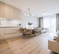 Wohnzimmer verbunden mit Küche in einer 2-Zimmer-Wohnung mit Holzboden.