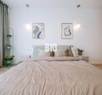 Doppelbett mit grünen Pflanzen und Holzboden in einer 2-Zimmer-Wohnung.