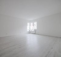 Ein geräumiges Zimmer mit weißen Wänden und einem großen Fenster in einer Einzimmerwohnung.