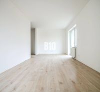 Geräumige, helle 1-Zimmer-Wohnung mit Holzboden und weißen Wänden zu vermieten.