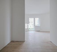 Helles leeres Interieur mit Holzboden und großem Fenster in einem Einzimmerapartment.