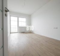 Ein geräumiges Zimmer mit einem großen Fenster, hellem Boden und weißen Wänden in einer 2-Zimmer-Wohnung.