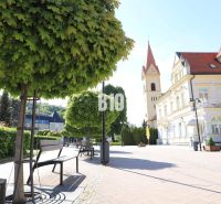 Der Stadtplatz in Trenčianske Teplice mit Bänken, Bäumen und historischer Architektur, Grundstücke - Wohnen.