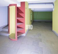 Innenraum von Geschäftsräumen mit bunten Wänden, Regalen und Treppen auf Fliesen.