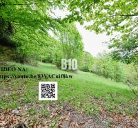 Ein ruhiges grünes Waldgrundstück in Čadca, das zum Wohnen dient, umgeben von Natur und Bäumen.