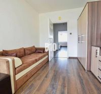 Sofa, Boden mit Holzdekor und Schrank in einer 3-Zimmer-Wohnung.
