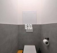 Toilette mit Fliesen, Boden mit Holzdekor in einer 3-Zimmer-Wohnung.