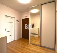 Eingangsbereich mit weißem Schrank und Spiegel, Boden mit Holzdekor, 3-Zimmer-Wohnung.