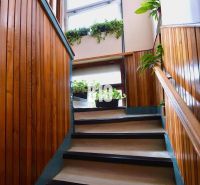 Eine Treppe im Einfamilienhaus mit Holzverkleidungen und Pflanzen auf der Fensterbank.