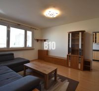 Wohnzimmer mit Holzboden, grauem Sofa und Holzmöbeln.