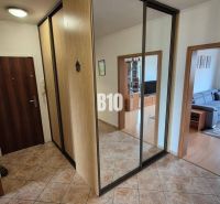 In einer Wohnung mit 5 oder mehr Zimmern, Böden mit Holzdekor, Spiegel und Sofa im Wohnzimmer.