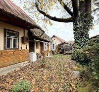 Der Hof des Einfamilienhauses in Kotešová, bedeckt mit Herbstblättern, mit einem großen Baum.