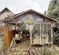 Ein alter Holzschuppen, überwuchert von Kletterpflanzen, neben einem Einfamilienhaus in Kotešová.