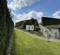 Ein Gartenweg bei einer Villa in Súľov-Hradná, gesäumt mit Steinen und hohen Sträuchern.