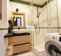 Das Badezimmer in der 3-Zimmer-Wohnung enthält eine Dusche, ein Waschbecken und eine Waschmaschine.