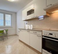 Helle Küche in der Ferienwohnung mit Herd und Tisch mit grünen Stühlen.