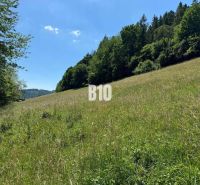 Grüne Wiesen und Wälder in Dolný Vadičov, ideal für Grundstücke - Wohnen.