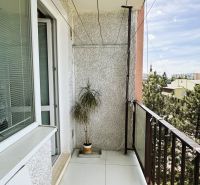 Balkon mit weißem Boden und Pflanze in einem Einzimmerapartment.