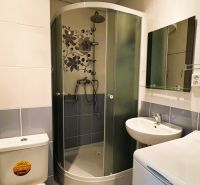 Badezimmer in einer Einzimmerwohnung mit WC, Duschkabine und Waschbecken.