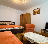 Wohnzimmer mit Sofa, Bett, Sessel und Fernseher, Einzimmerwohnung, Boden mit Holzdekor.