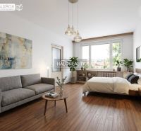 Wohnzimmer mit Sofa, Bett und Holzboden in einer Einzimmerwohnung.