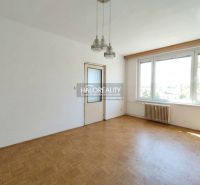 Ein leerer Raum in einer Einzimmerwohnung mit Holzboden und einem großen Fenster.