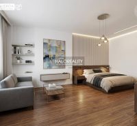 Schlafzimmer in einer Einzimmerwohnung mit Bett und Sofa, Boden mit Holzdekor.