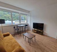 Wohnzimmer mit Sofa, Fernseher und Holzboden in einer 2-Zimmer-Wohnung.