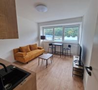Wohnzimmer einer Zweizimmerwohnung mit Sofa, Esstisch und Boden in Holzoptik.