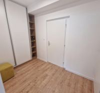 Flur in einer 2-Zimmer-Wohnung mit Holzboden und Einbauschrank.