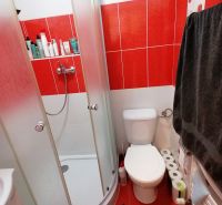Badezimmer in einer Einzimmerwohnung mit roten Fliesen und einer Duschkabine.