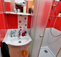 Badezimmer mit roten Fliesen, Duschkabine und Waschbecken in einer Einzimmerwohnung.
