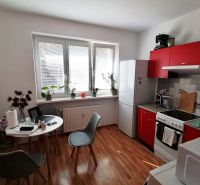 Küche in einer Einzimmerwohnung mit Holzboden und roter Küchenzeile.