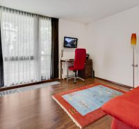 Helles Zimmer mit rotem Sofa, Teppich und Holzboden.