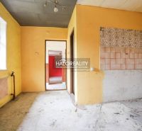 Verlassener Raum mit bunten Wänden und einem Fenster in einem Einfamilienhaus.
