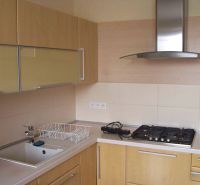 Küche in einer 2-Zimmer-Wohnung mit Gasherd und Dunstabzugshaube, helle Schränke.