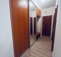 Eingangsbereich mit Einbauschrank und Boden in Holzoptik in einer 3-Zimmer-Wohnung.