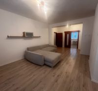 Wohnzimmer mit Sofa und Holzboden in einer 3-Zimmer-Wohnung.