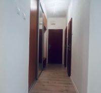 Ein schmaler Flur in einer 3-Zimmer-Wohnung mit einem Boden in Holzoptik und einem Einbauschrank.