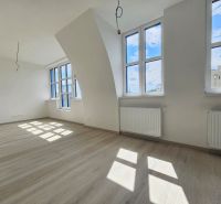 Helle 1-Zimmer-Wohnung mit Fenstern und Boden in Holzoptik.